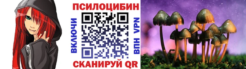 Псилоцибиновые грибы прущие грибы  маркетплейс формула  Бокситогорск  магазин продажи наркотиков 